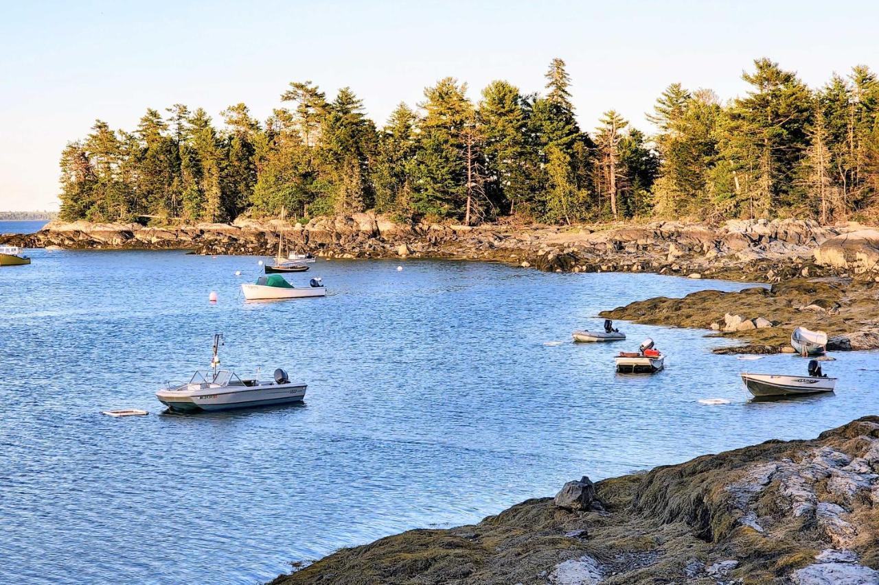 Hidden Gem Cottage Near Blue Hill Peninsula Brooklin Exteriör bild
