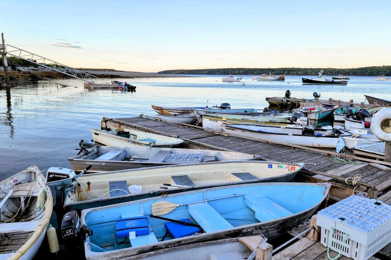 Hidden Gem Cottage Near Blue Hill Peninsula Brooklin Exteriör bild
